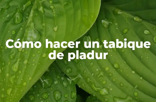 Cómo Hacer un Tabique de Pladur