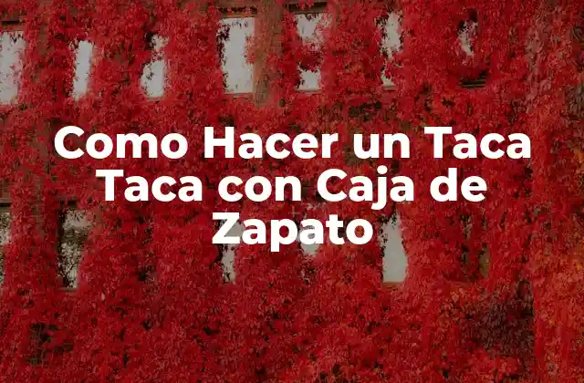 Como Hacer un Taca Taca con Caja de Zapato