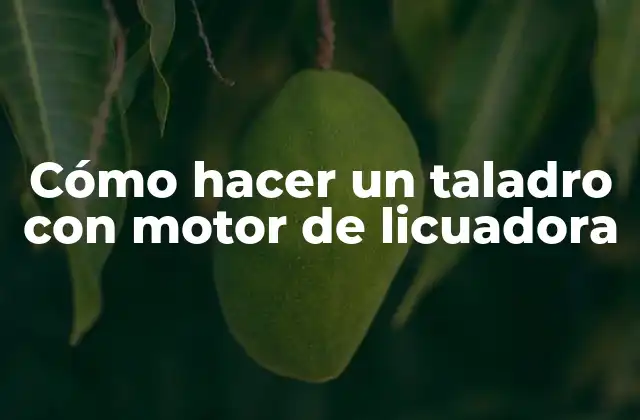 Cómo Hacer un Taladro con Motor de Licuadora