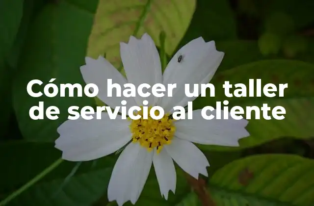 Cómo Hacer un Taller de Servicio Al Cliente