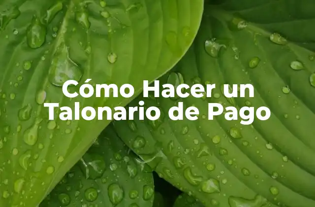 Cómo Hacer un Talonario de Pago