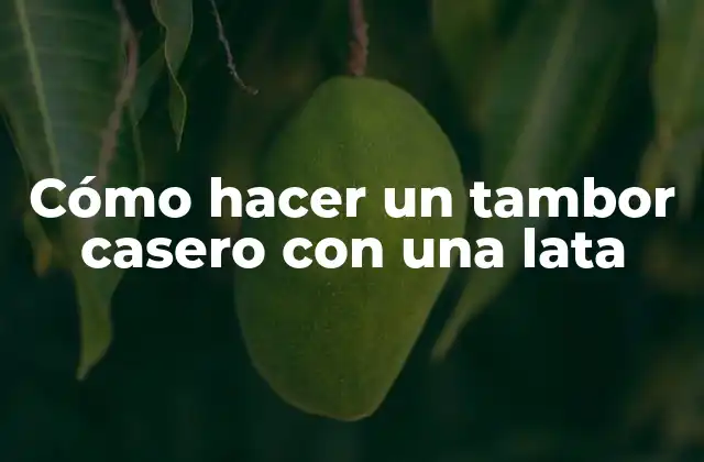 Cómo Hacer un Tambor Casero con una Lata