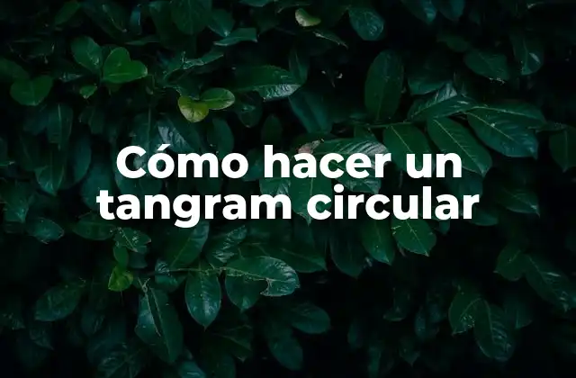¿Qué es un tangram circular?