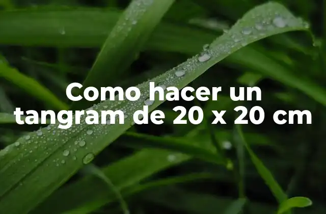 Como Hacer un Tangram de 20 X 20 Cm
