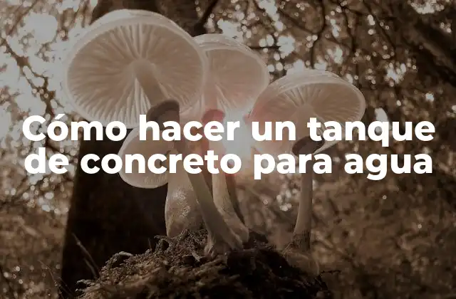 Cómo Hacer un Tanque de Concreto para Agua