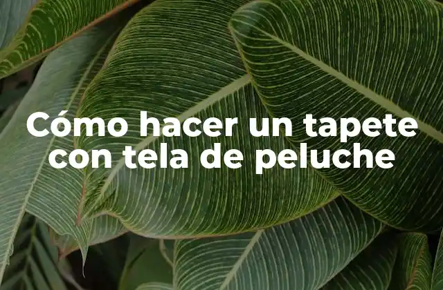 Cómo Hacer un Tapete con Tela de Peluche