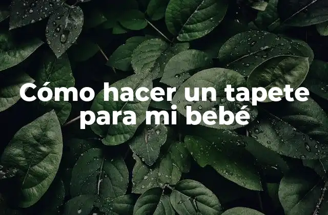 Cómo Hacer un Tapete para Mi Bebé