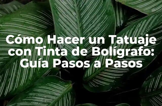 Cómo Hacer un Tatuaje con Tinta de Bolígrafo: Guía Pasos a Pasos