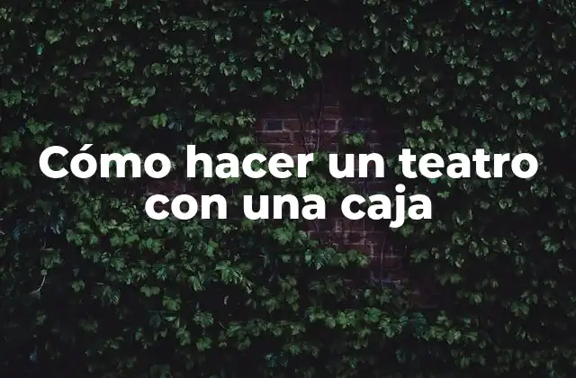 Cómo Hacer un Teatro con una Caja