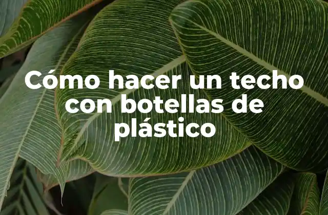 Cómo Hacer un Techo con Botellas de Plástico