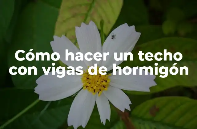 Cómo Hacer un Techo con Vigas de Hormigón
