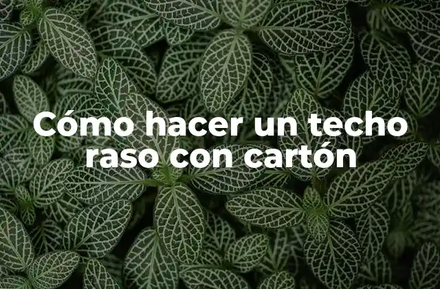 Cómo Hacer un Techo Raso con Cartón