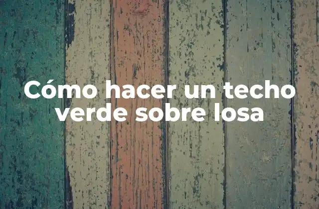 Cómo Hacer un Techo Verde sobre Losa