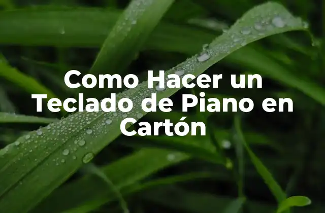 Como Hacer un Teclado de Piano en Cartón
