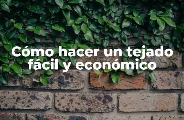 Cómo Hacer un Tejado Fácil y Económico