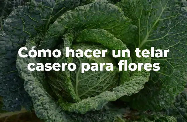 Cómo Hacer un Telar Casero para Flores