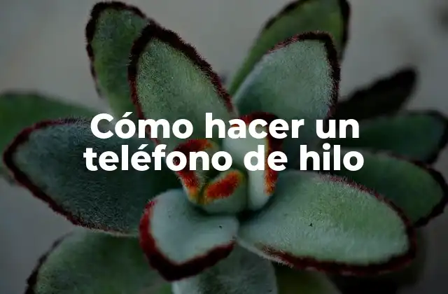 Cómo Hacer un Teléfono de Hilo