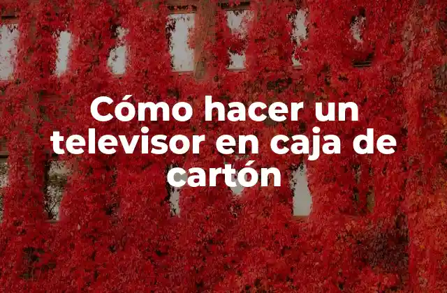 Cómo Hacer un Televisor en Caja de Cartón