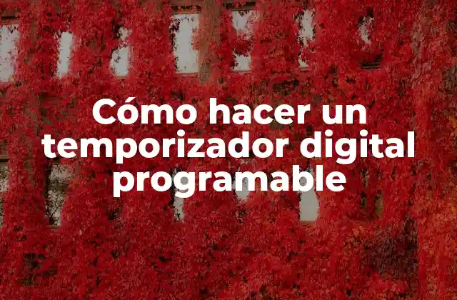Cómo Hacer un Temporizador Digital Programable