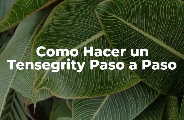 Como Hacer un Tensegrity Paso a Paso