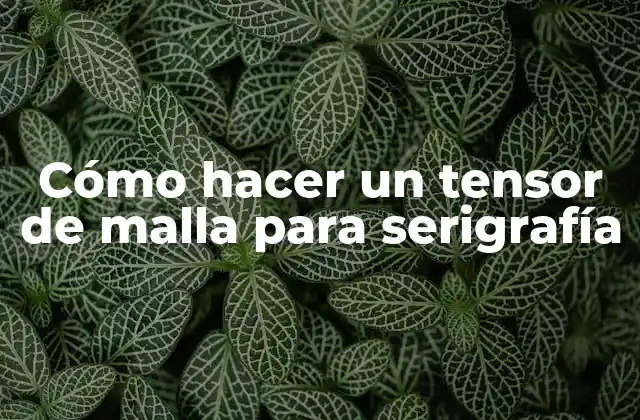 Cómo Hacer un Tensor de Malla para Serigrafía