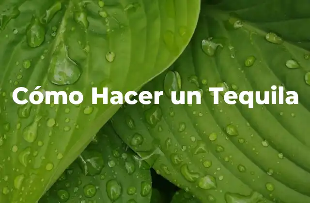 Cómo Hacer un Tequila