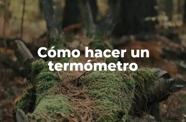 Cómo Hacer un Termómetro