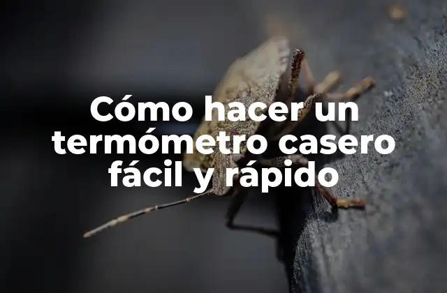 Cómo Hacer un Termómetro Casero Fácil y Rápido