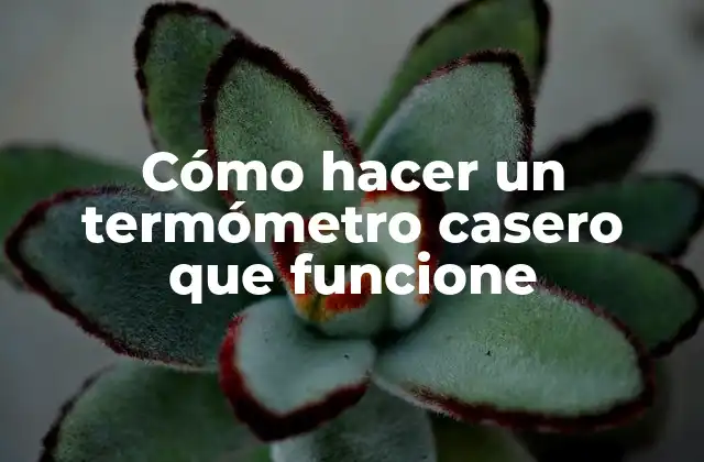 Cómo Hacer un Termómetro Casero que Funcione