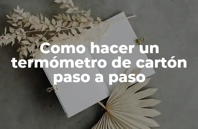 ¿Qué es un termómetro de cartón y para qué sirve?