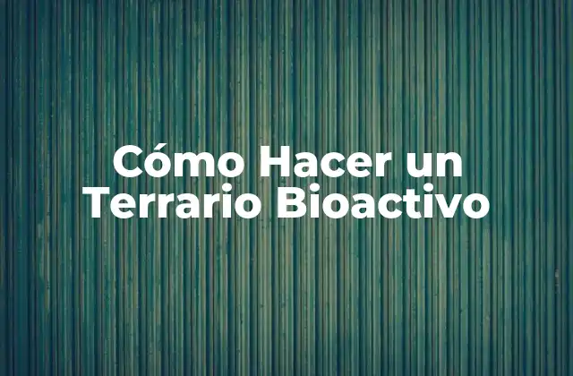 Cómo Hacer un Terrario Bioactivo