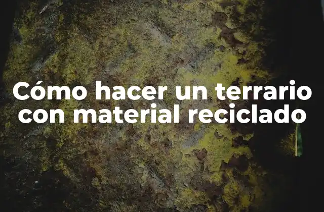 Cómo Hacer un Terrario con Material Reciclado