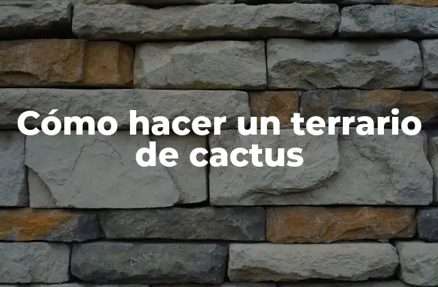 Cómo Hacer un Terrario de Cactus