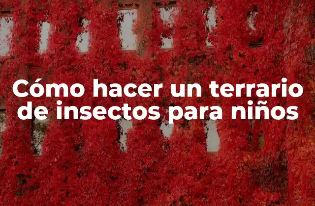 Cómo Hacer un Terrario de Insectos para Niños