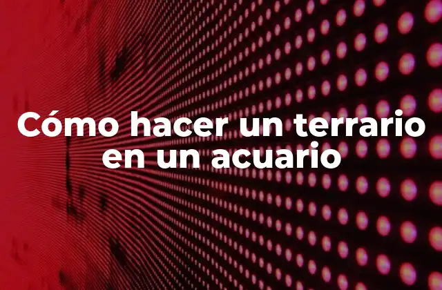 Cómo Hacer un Terrario en un Acuario