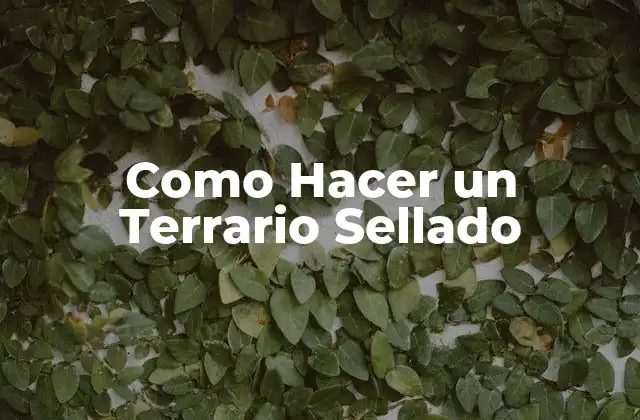 Como Hacer un Terrario Sellado