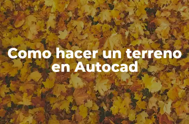 Como Hacer un Terreno en Autocad