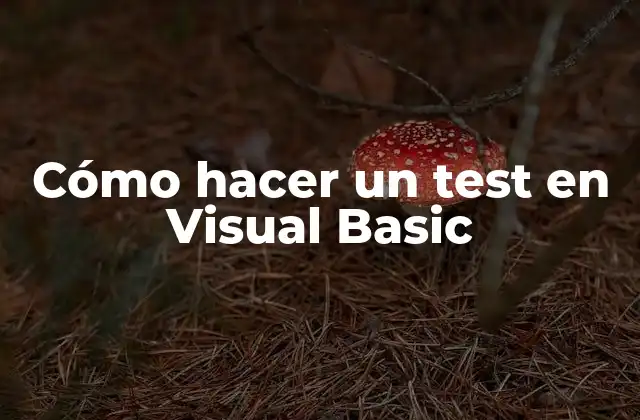 Cómo Hacer un Test en Visual Basic