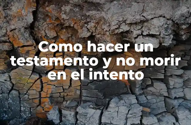 Como Hacer un Testamento y No Morir en el Intento