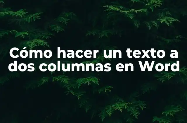 Cómo Hacer un Texto a Dos Columnas en Word