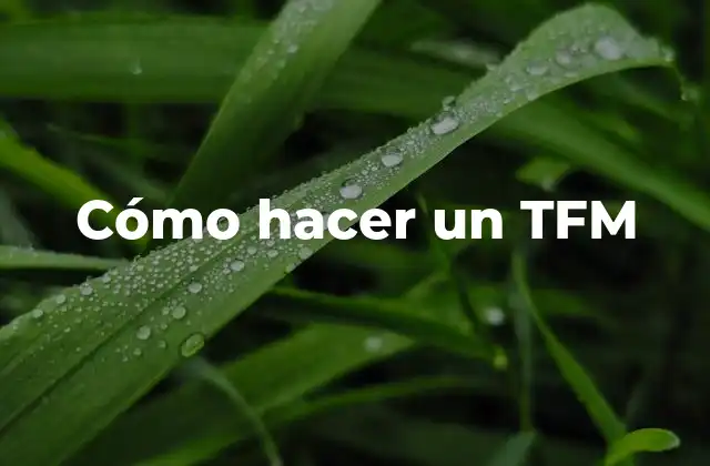 Cómo Hacer un Tfm