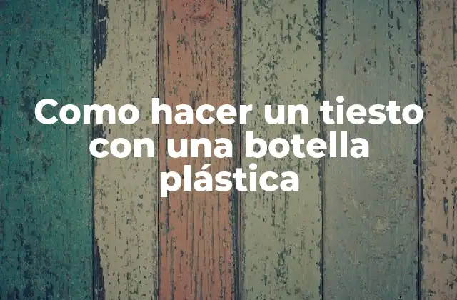 ¿Qué es un tiesto y para qué sirve?