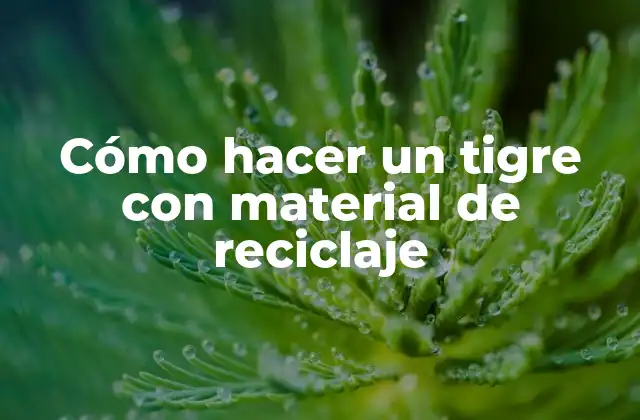 Cómo Hacer un Tigre con Material de Reciclaje