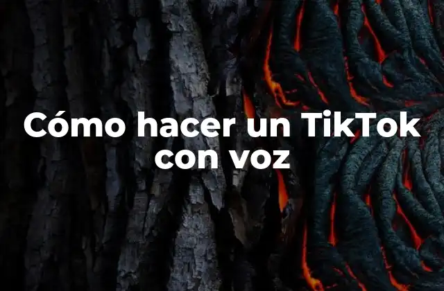 Cómo Hacer un Tiktok con Voz 2 ¿Qué es un TikTok con voz y cómo se puede utilizar?