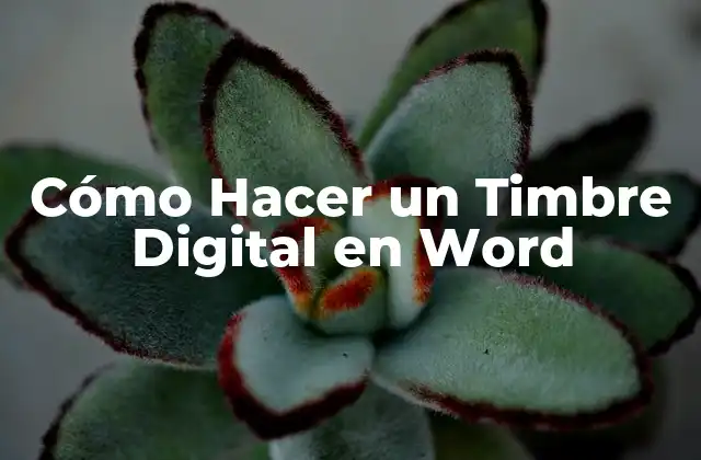 Cómo Hacer un Timbre Digital en Word