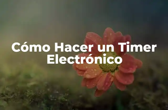 Cómo Hacer un Timer Electrónico 2 ¿Qué es un Timer Electrónico y para qué Sirve?
