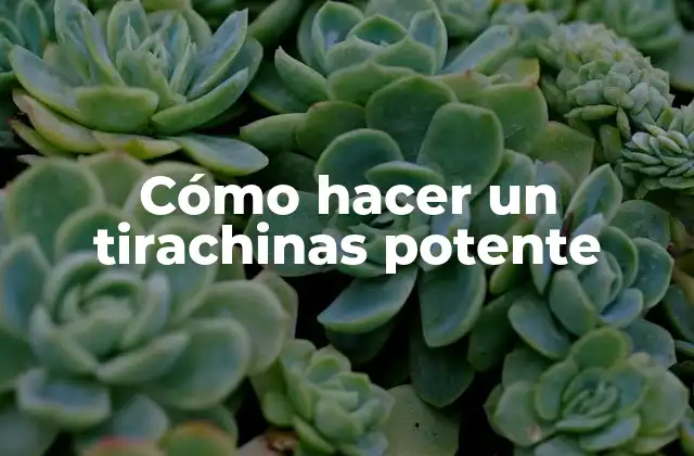 Cómo Hacer un Tirachinas Potente