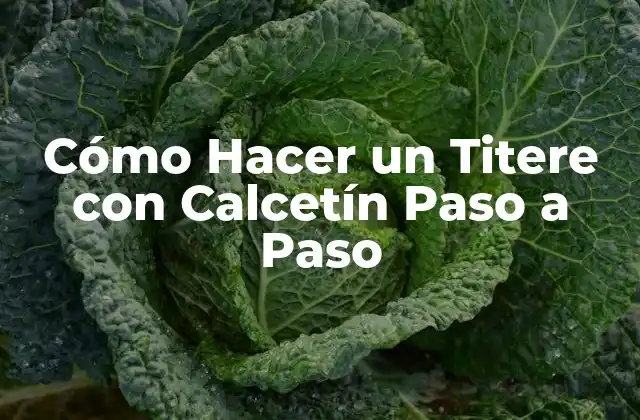 Cómo Hacer un Titere con Calcetín Paso a Paso