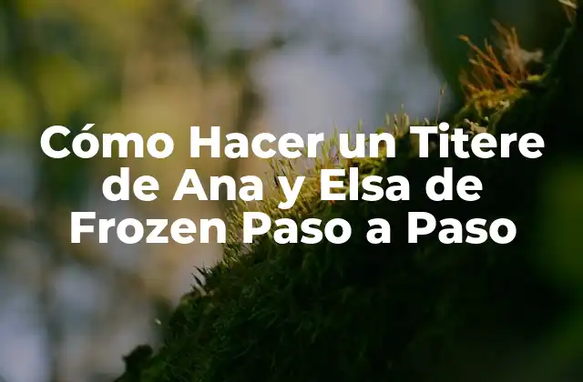 Cómo Hacer un Titere de Ana y Elsa de Frozen Paso a Paso