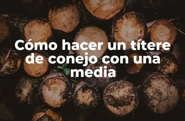 Cómo Hacer un Títere de Conejo con una Media